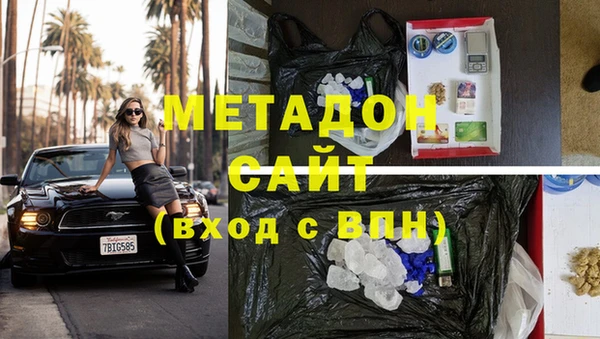 сатива Ельня