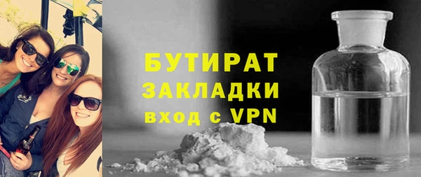 сатива Ельня