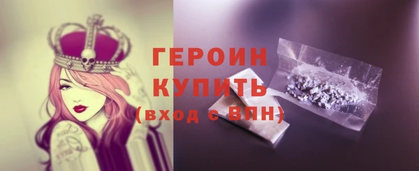 сатива Ельня