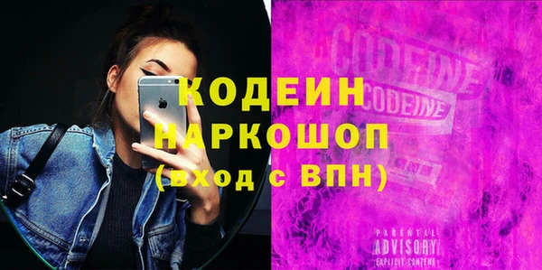 сатива Ельня
