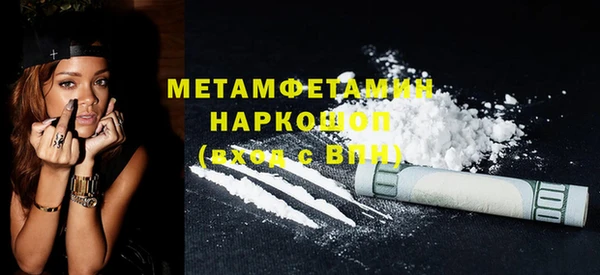 сатива Ельня