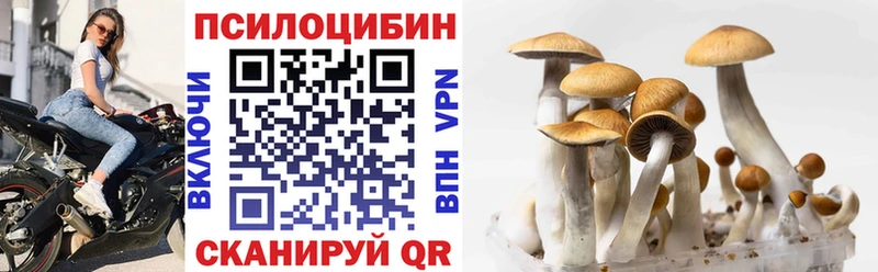 Галлюциногенные грибы мухоморы  Купить закладки  Катав-Ивановск 